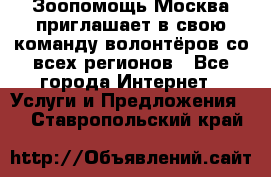 Зоопомощь.Москва приглашает в свою команду волонтёров со всех регионов - Все города Интернет » Услуги и Предложения   . Ставропольский край